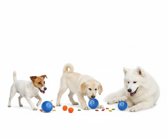 Electric Pet Toy Ball