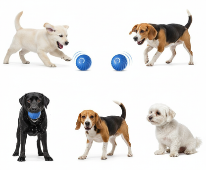 Electric Pet Toy Ball