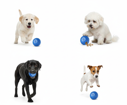 Electric Pet Toy Ball