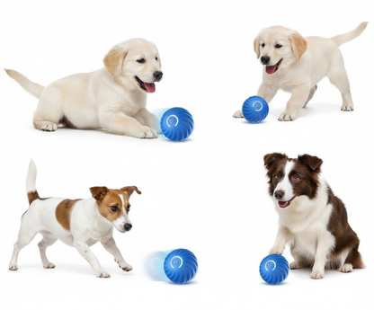Electric Pet Toy Ball